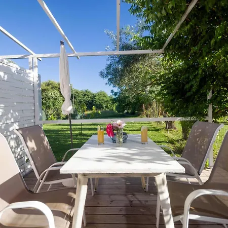 Chrysanthy Sidárion