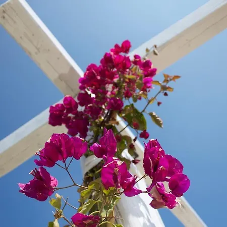 Chrysanthy Appartement